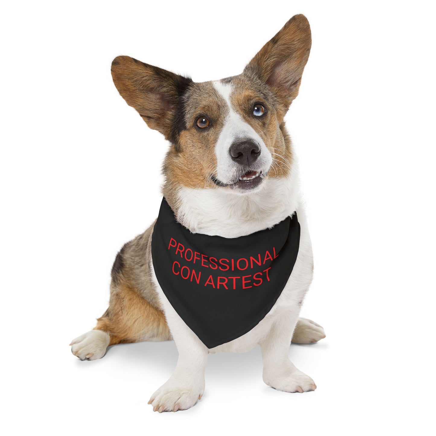 'PROFESSIONAL CON ARTIST' Pet Bandana Collar by Bigfoot Habitat