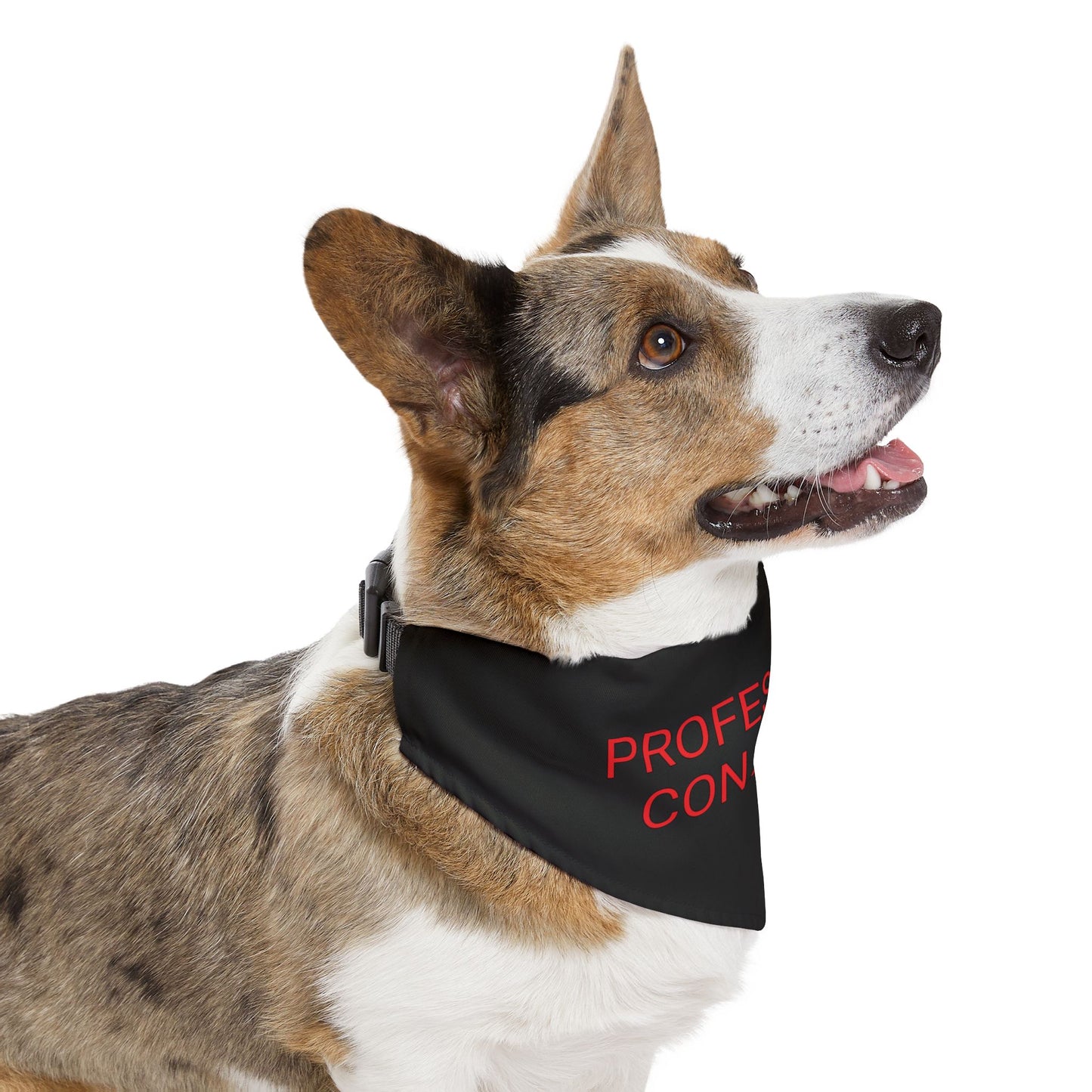 'PROFESSIONAL CON ARTIST' Pet Bandana Collar by Bigfoot Habitat