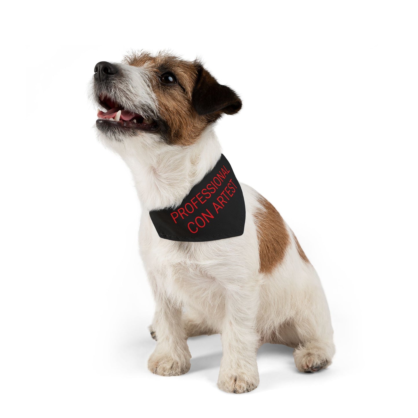 'PROFESSIONAL CON ARTIST' Pet Bandana Collar by Bigfoot Habitat